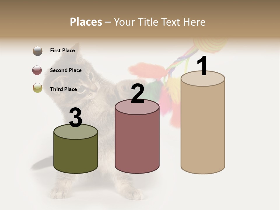 A Kitten Playing With A Toy On A White Background PowerPoint Template