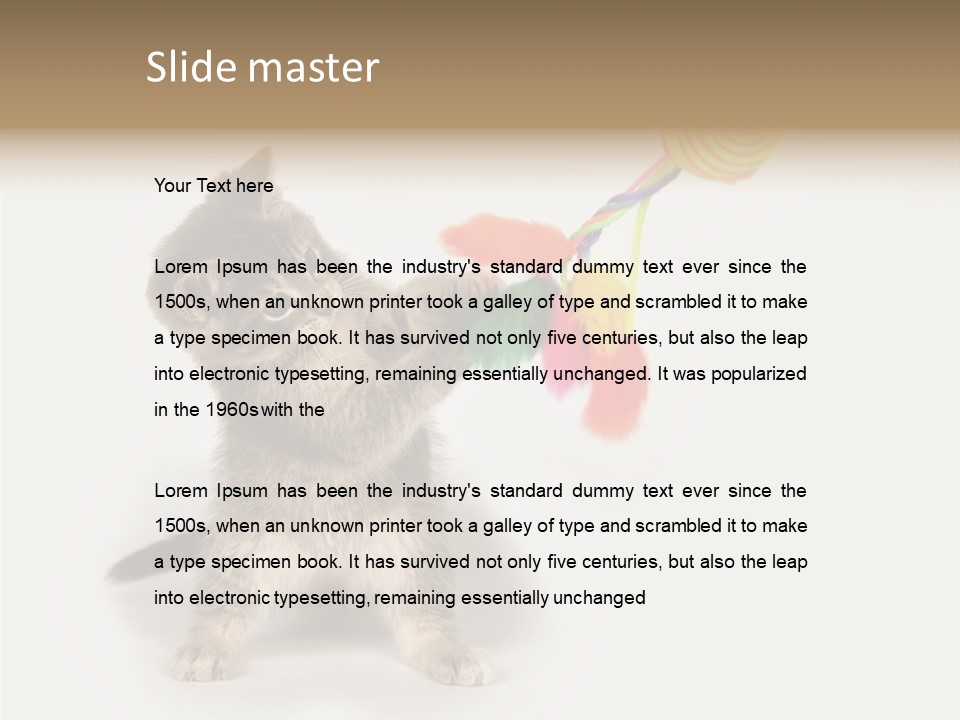 A Kitten Playing With A Toy On A White Background PowerPoint Template