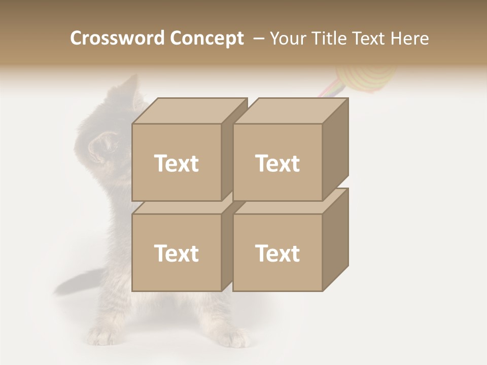 A Kitten Playing With A Toy On A White Background PowerPoint Template