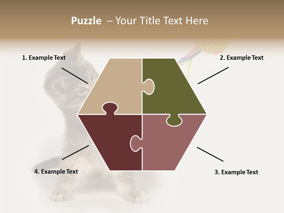 A Kitten Playing With A Toy On A White Background PowerPoint Template