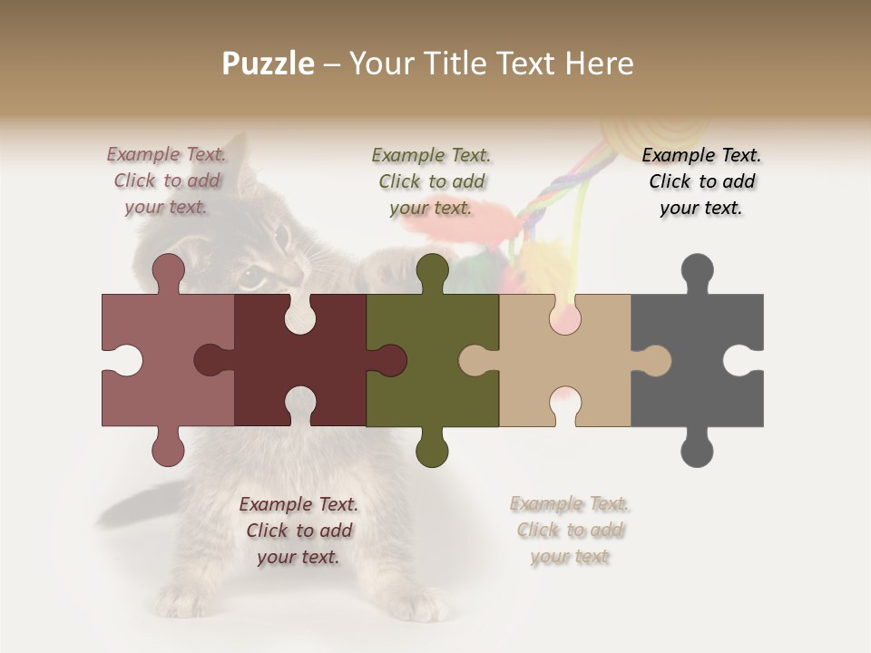 A Kitten Playing With A Toy On A White Background PowerPoint Template