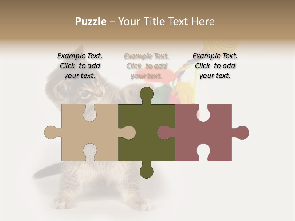 A Kitten Playing With A Toy On A White Background PowerPoint Template