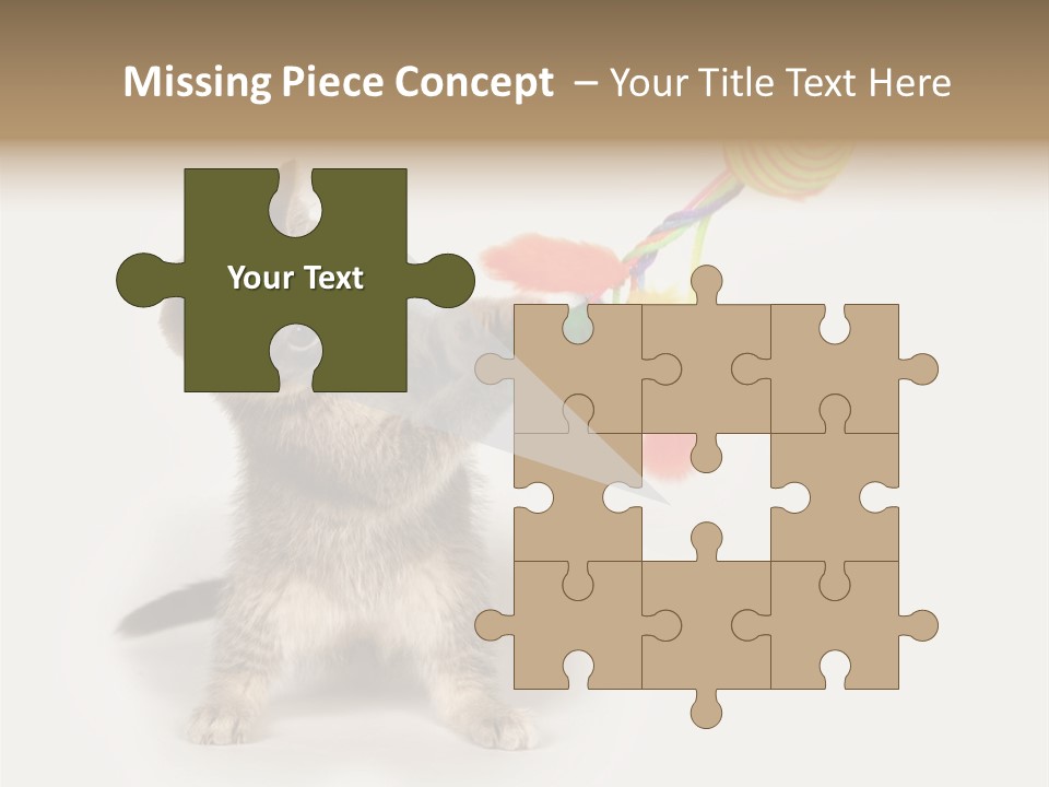 A Kitten Playing With A Toy On A White Background PowerPoint Template