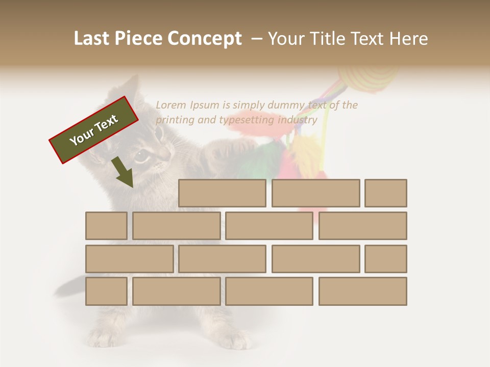 A Kitten Playing With A Toy On A White Background PowerPoint Template