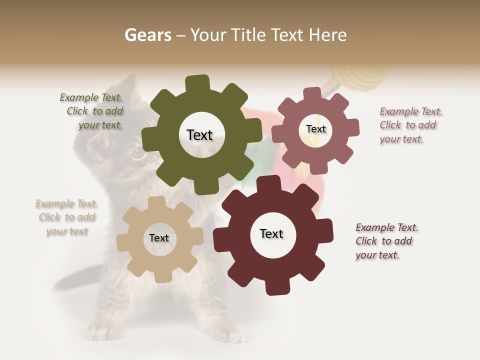 A Kitten Playing With A Toy On A White Background PowerPoint Template