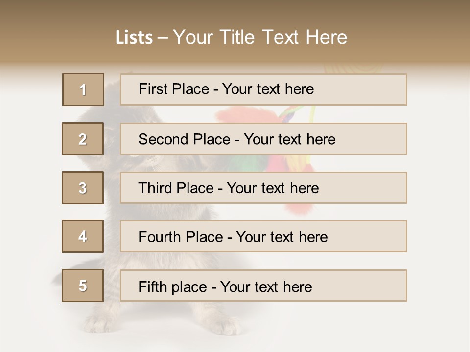 A Kitten Playing With A Toy On A White Background PowerPoint Template