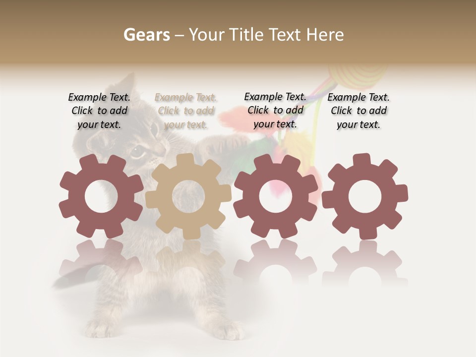 A Kitten Playing With A Toy On A White Background PowerPoint Template