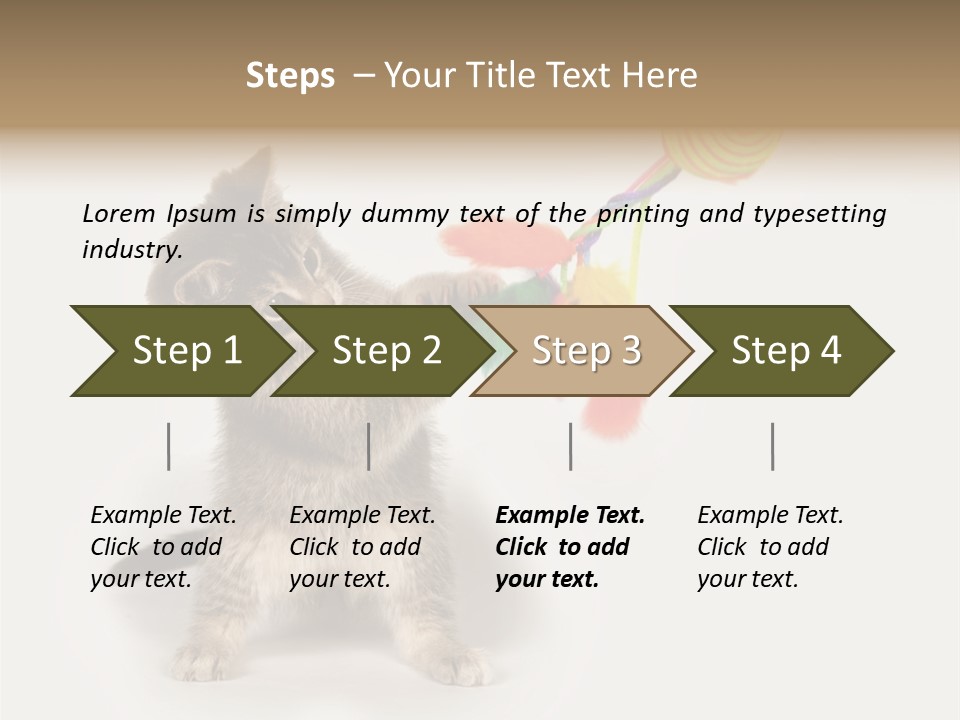 A Kitten Playing With A Toy On A White Background PowerPoint Template