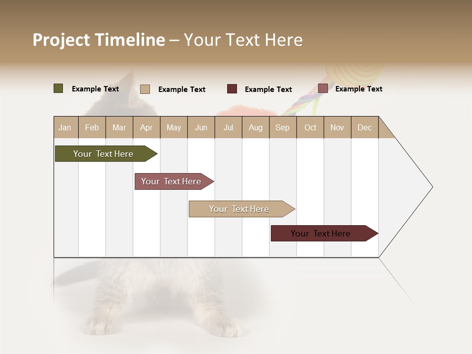 A Kitten Playing With A Toy On A White Background PowerPoint Template