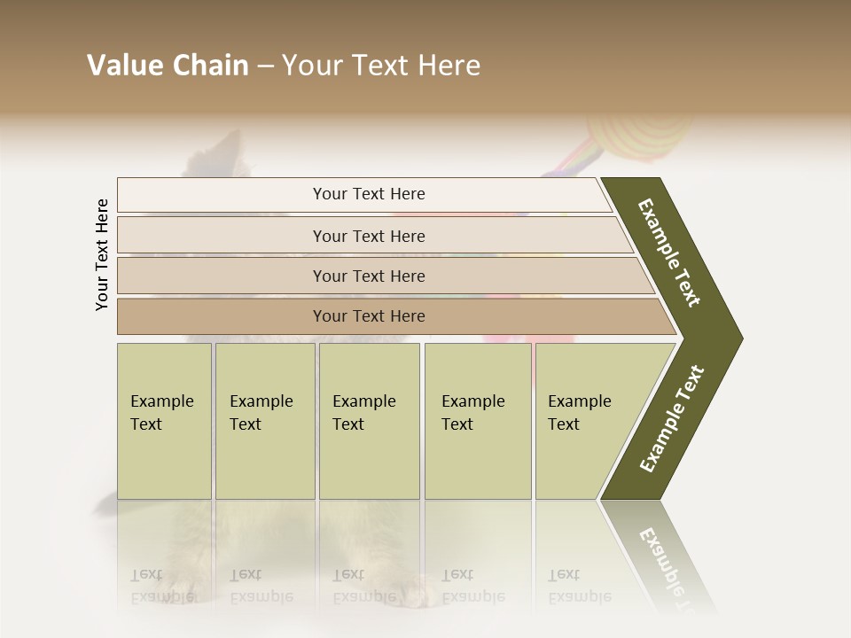 A Kitten Playing With A Toy On A White Background PowerPoint Template