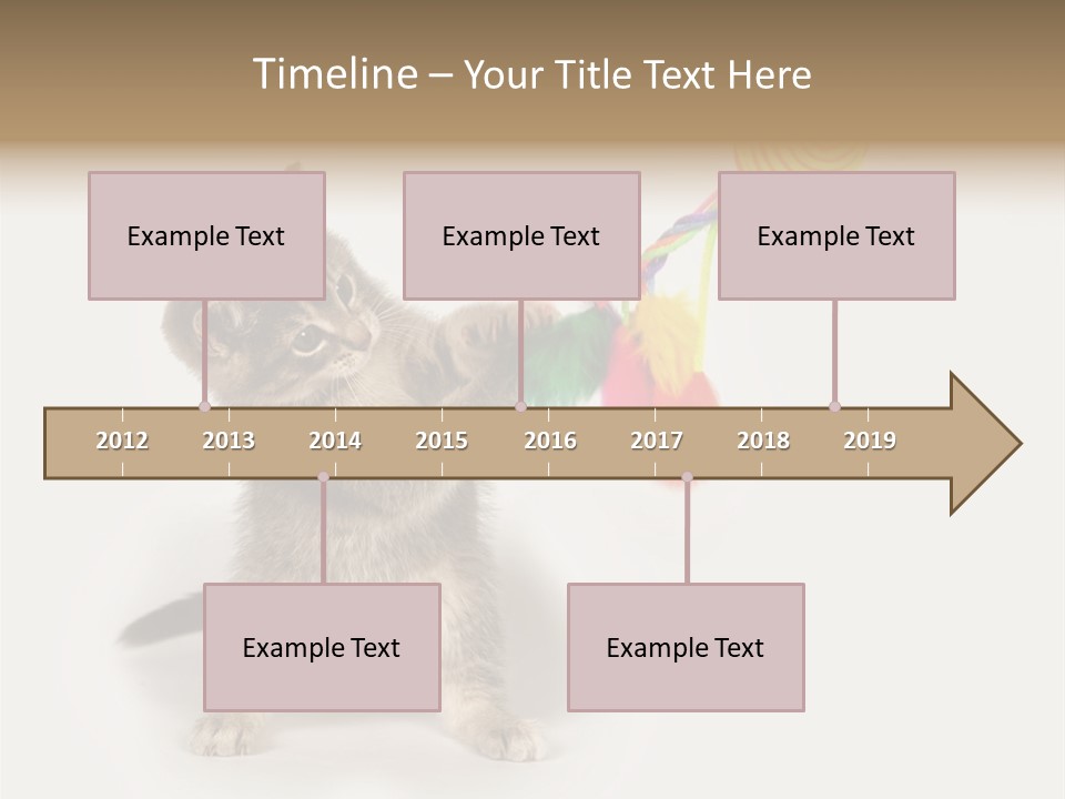 A Kitten Playing With A Toy On A White Background PowerPoint Template