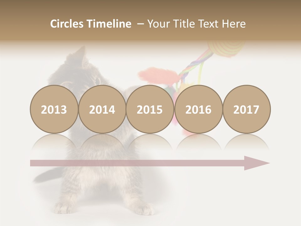 A Kitten Playing With A Toy On A White Background PowerPoint Template