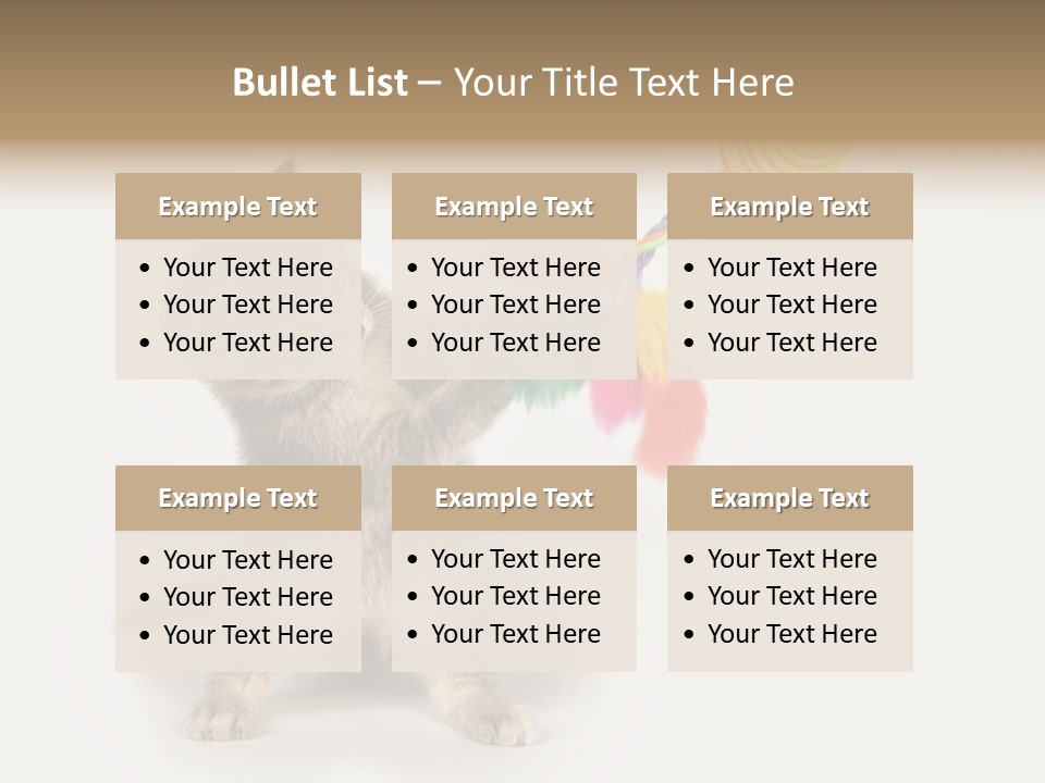 A Kitten Playing With A Toy On A White Background PowerPoint Template