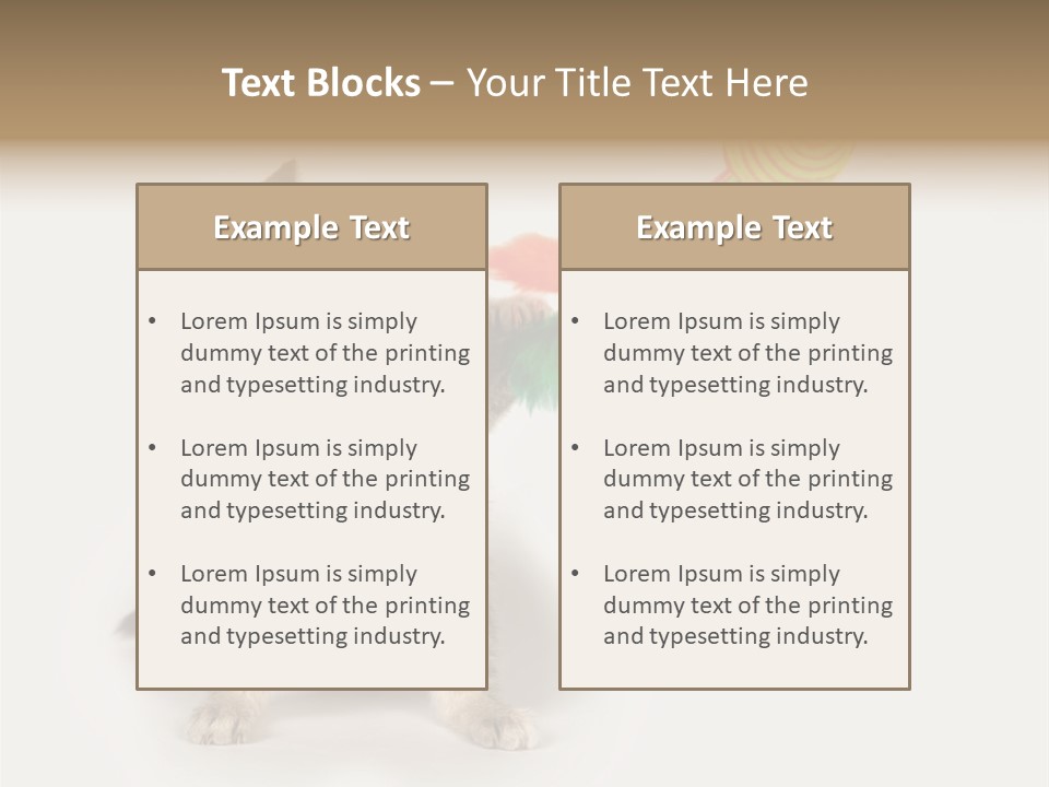 A Kitten Playing With A Toy On A White Background PowerPoint Template