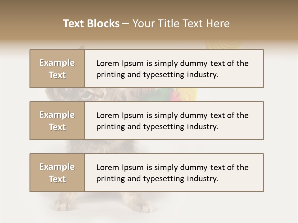 A Kitten Playing With A Toy On A White Background PowerPoint Template