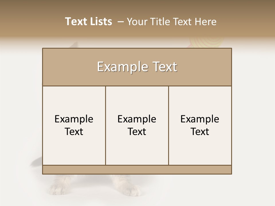 A Kitten Playing With A Toy On A White Background PowerPoint Template