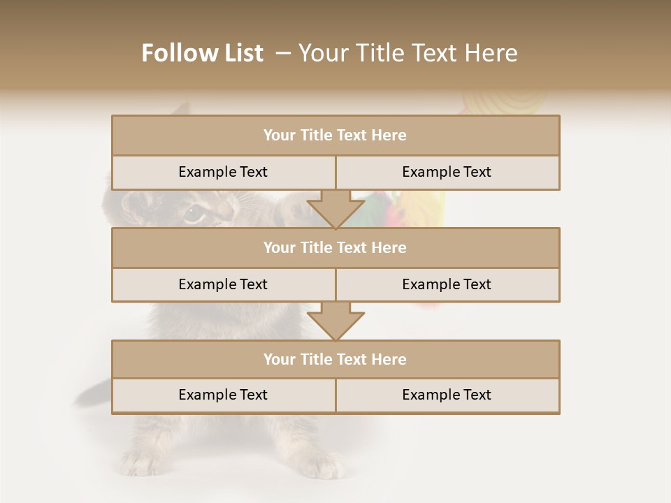 A Kitten Playing With A Toy On A White Background PowerPoint Template