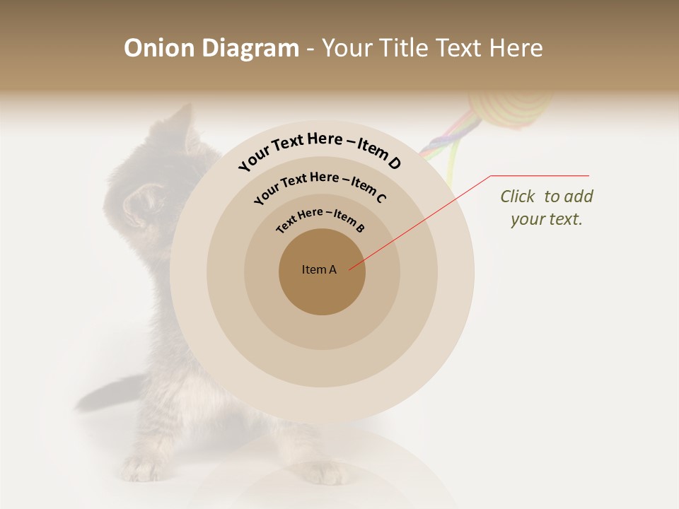 A Kitten Playing With A Toy On A White Background PowerPoint Template