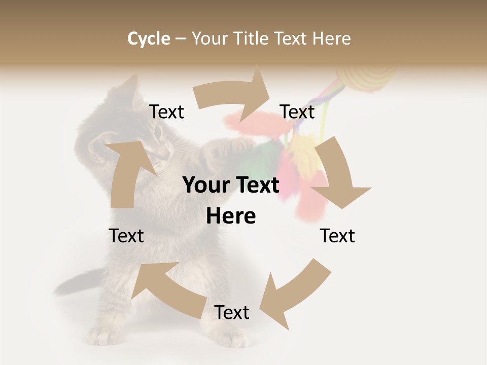 A Kitten Playing With A Toy On A White Background PowerPoint Template