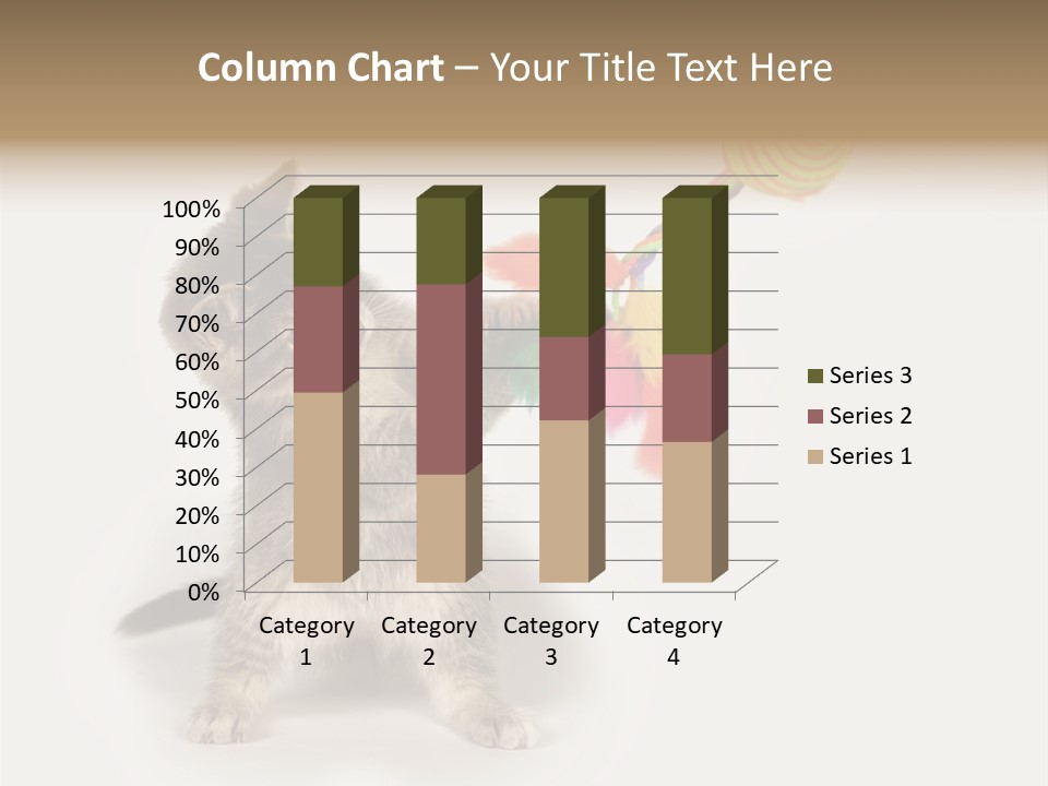 A Kitten Playing With A Toy On A White Background PowerPoint Template