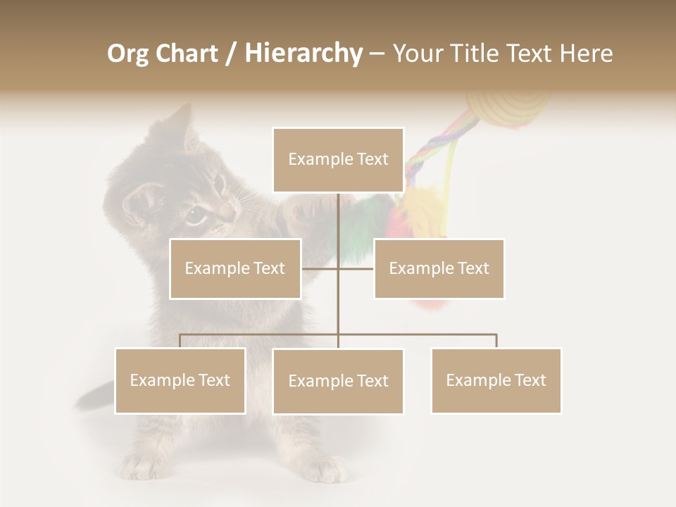 A Kitten Playing With A Toy On A White Background PowerPoint Template