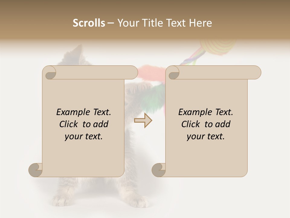 A Kitten Playing With A Toy On A White Background PowerPoint Template