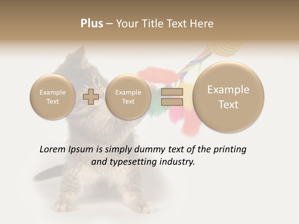 A Kitten Playing With A Toy On A White Background PowerPoint Template