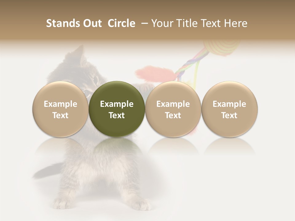 A Kitten Playing With A Toy On A White Background PowerPoint Template