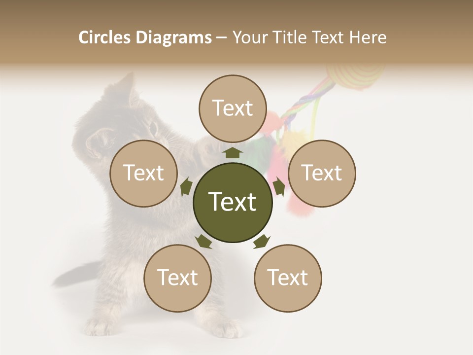 A Kitten Playing With A Toy On A White Background PowerPoint Template