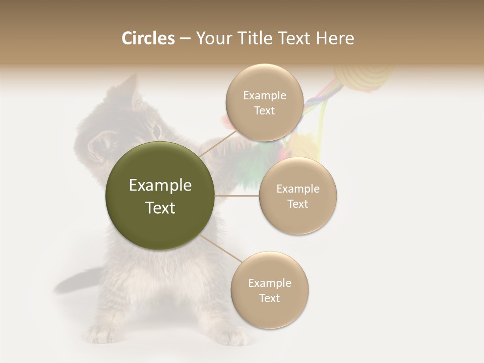 A Kitten Playing With A Toy On A White Background PowerPoint Template