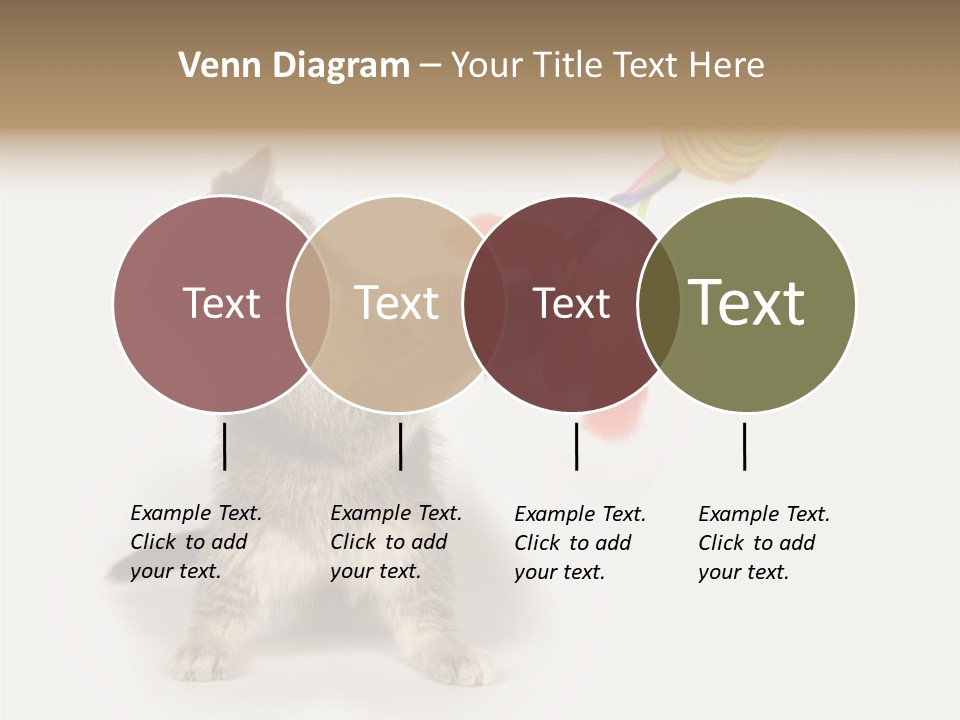 A Kitten Playing With A Toy On A White Background PowerPoint Template