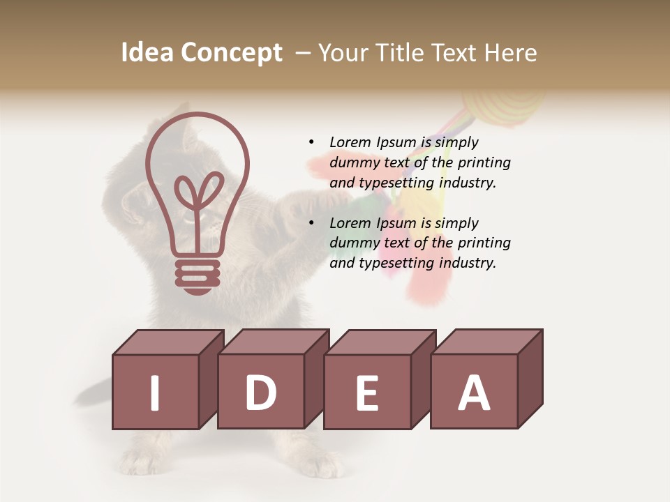 A Kitten Playing With A Toy On A White Background PowerPoint Template