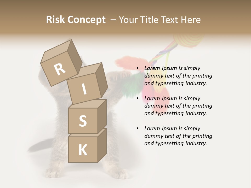 A Kitten Playing With A Toy On A White Background PowerPoint Template