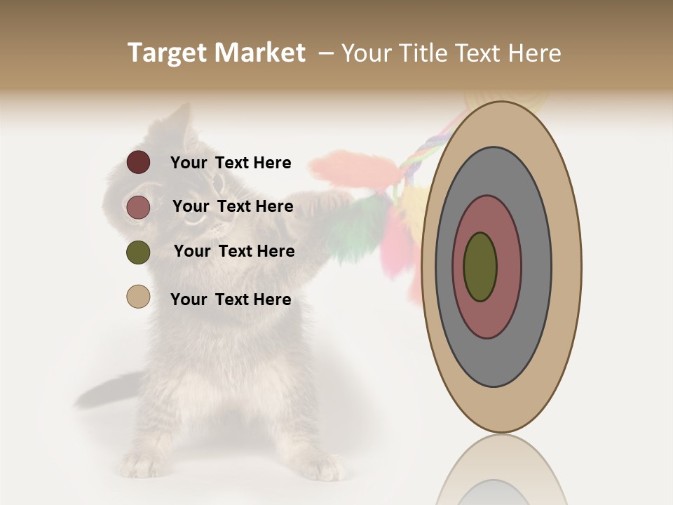 A Kitten Playing With A Toy On A White Background PowerPoint Template