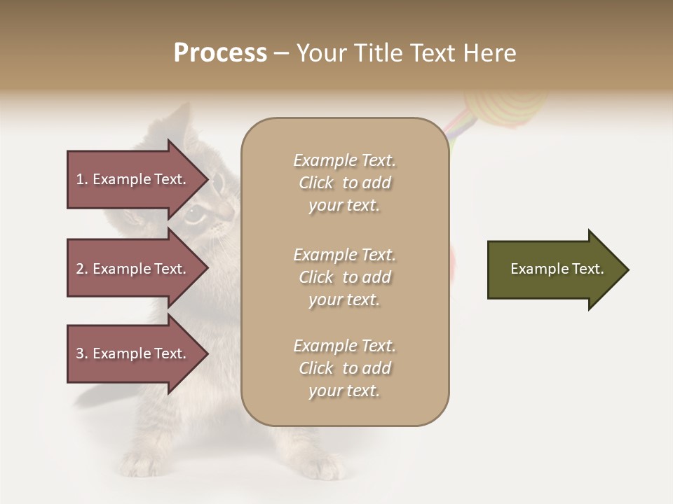 A Kitten Playing With A Toy On A White Background PowerPoint Template