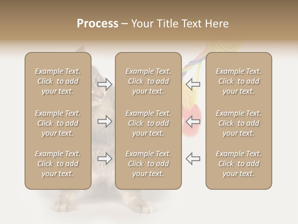 A Kitten Playing With A Toy On A White Background PowerPoint Template