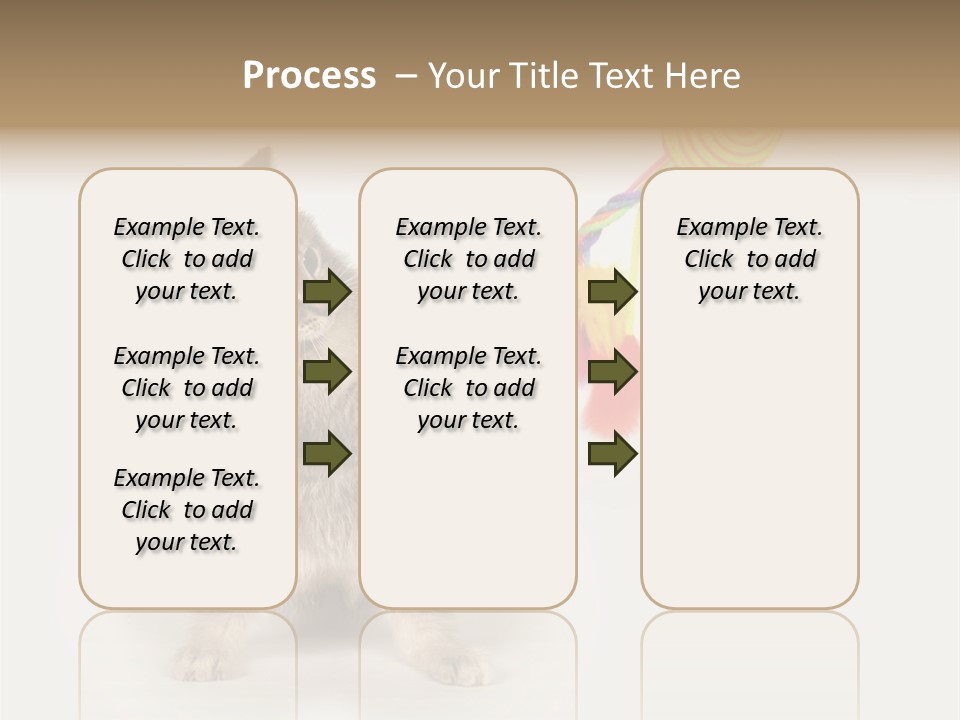 A Kitten Playing With A Toy On A White Background PowerPoint Template