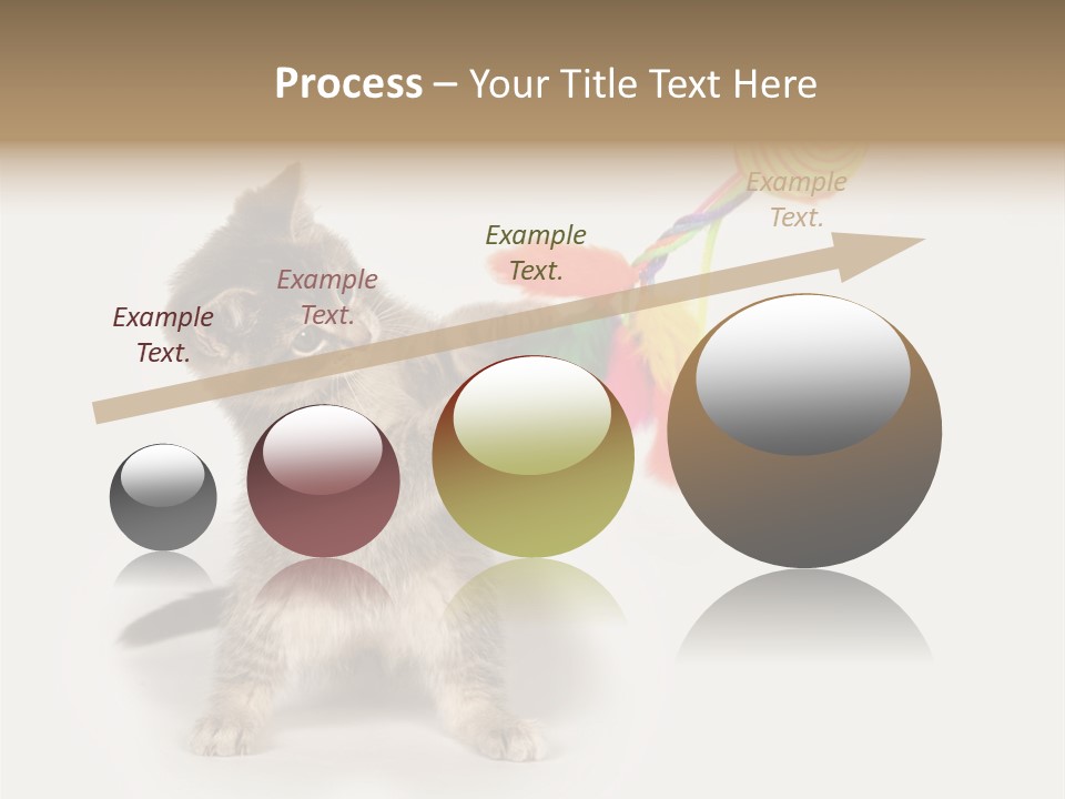 A Kitten Playing With A Toy On A White Background PowerPoint Template