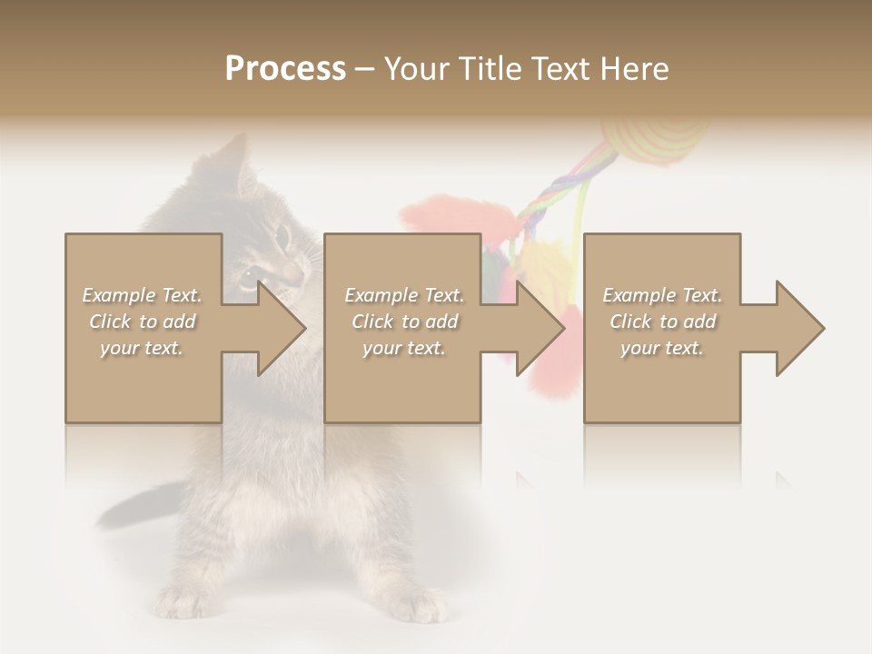 A Kitten Playing With A Toy On A White Background PowerPoint Template