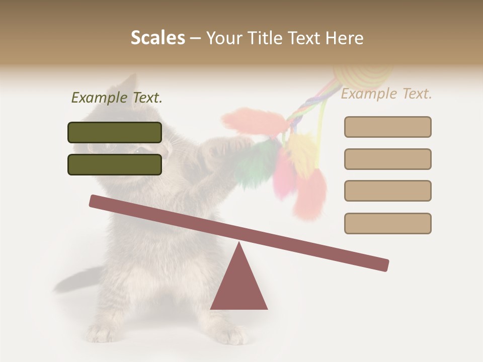 A Kitten Playing With A Toy On A White Background PowerPoint Template