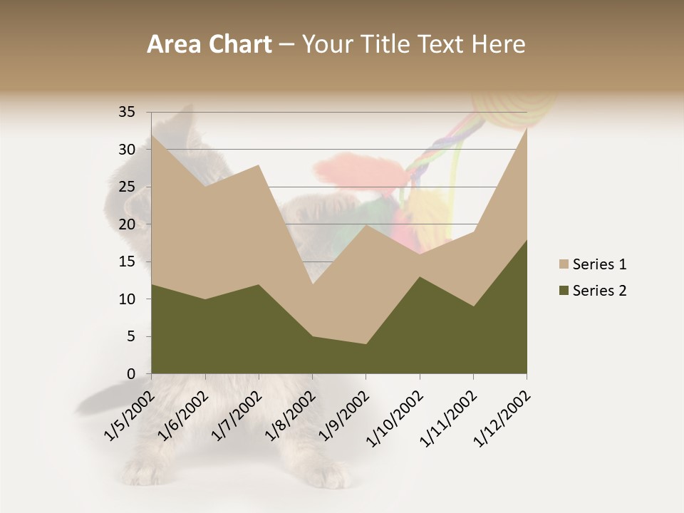 A Kitten Playing With A Toy On A White Background PowerPoint Template