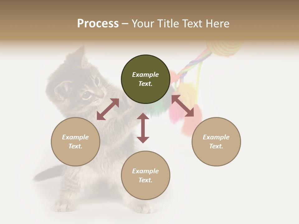 A Kitten Playing With A Toy On A White Background PowerPoint Template