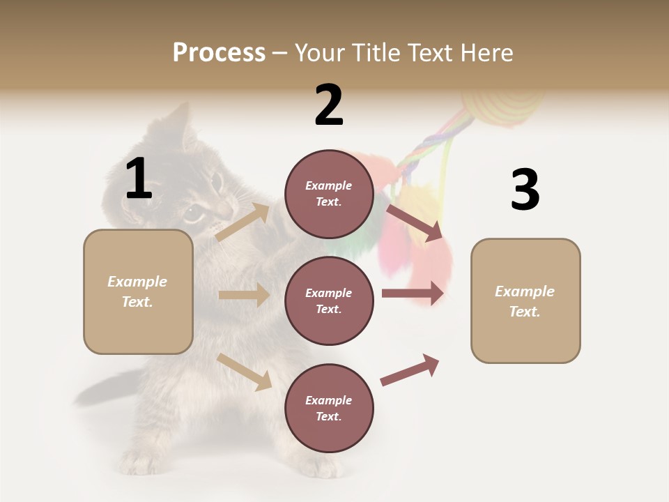 A Kitten Playing With A Toy On A White Background PowerPoint Template