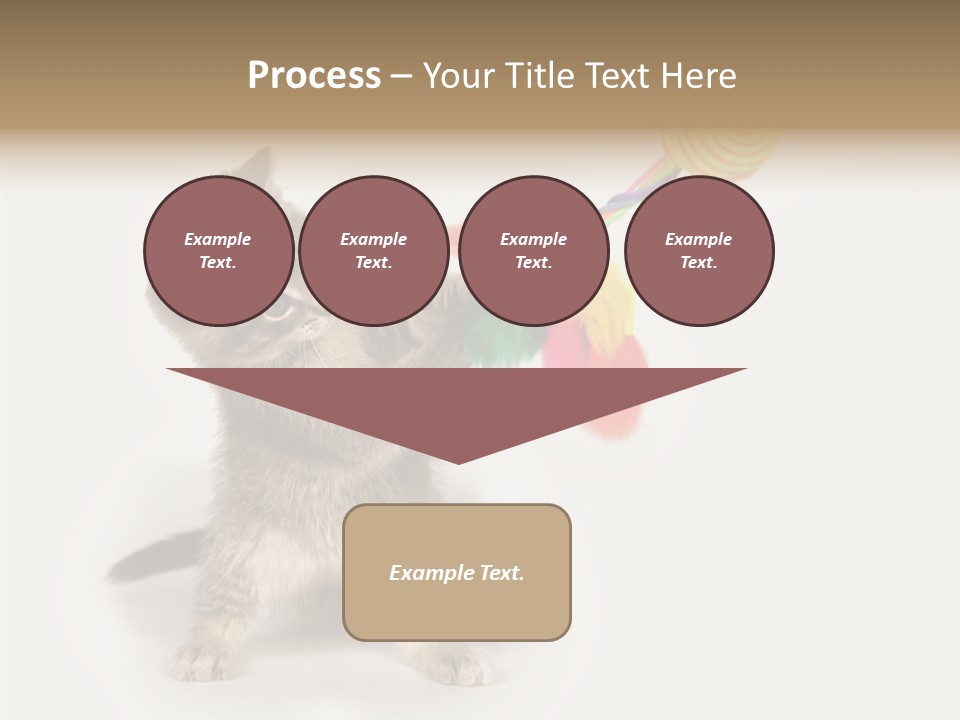 A Kitten Playing With A Toy On A White Background PowerPoint Template