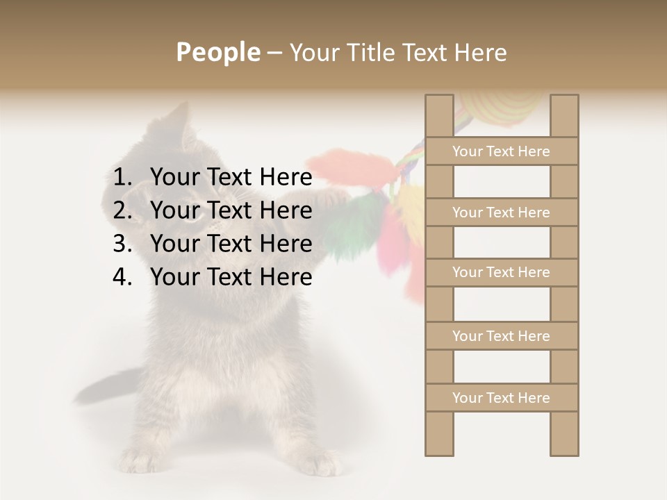 A Kitten Playing With A Toy On A White Background PowerPoint Template