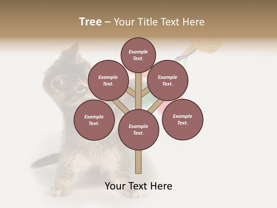 A Kitten Playing With A Toy On A White Background PowerPoint Template