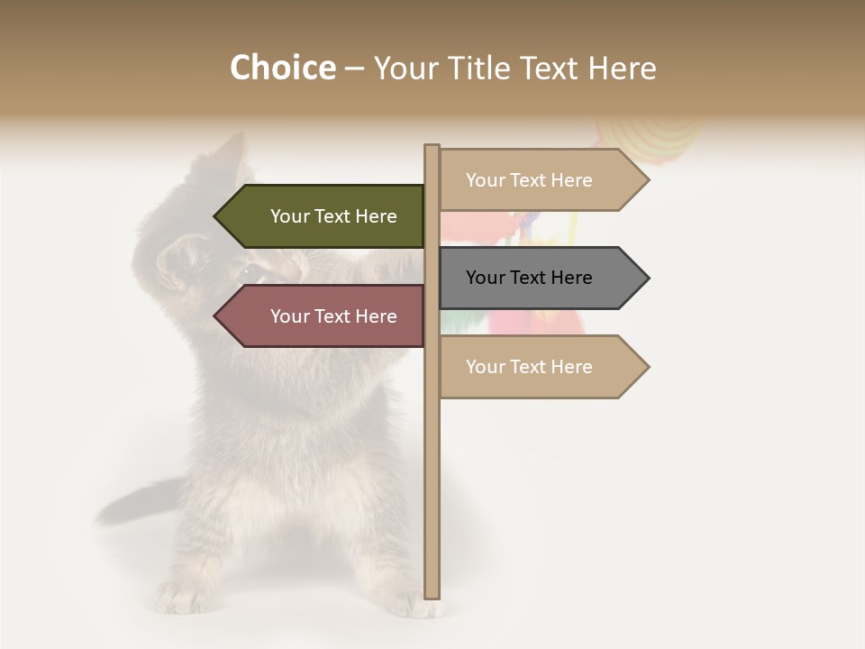 A Kitten Playing With A Toy On A White Background PowerPoint Template