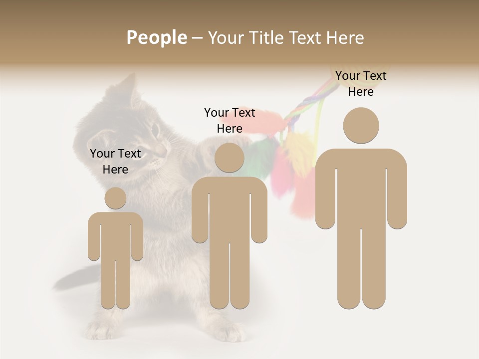 A Kitten Playing With A Toy On A White Background PowerPoint Template