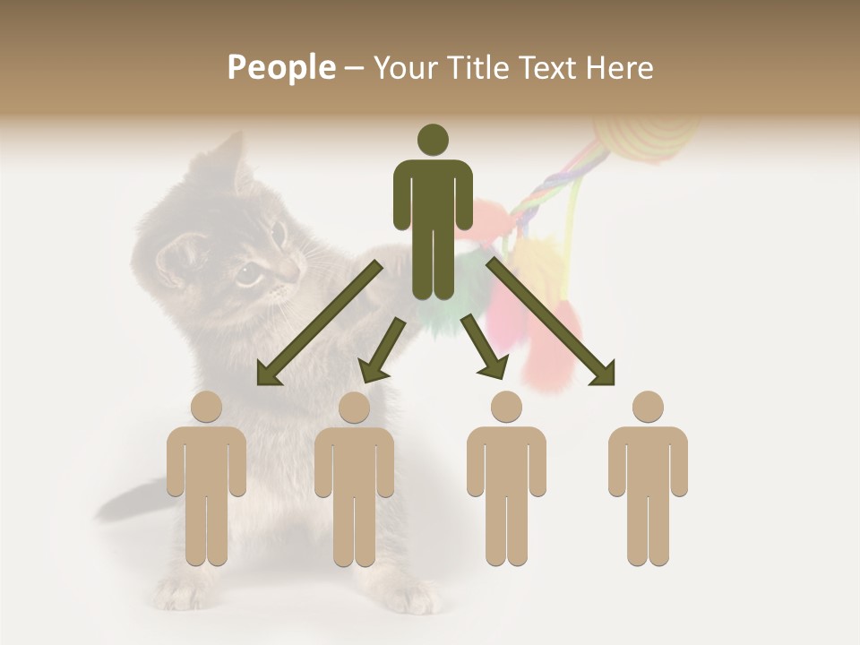 A Kitten Playing With A Toy On A White Background PowerPoint Template