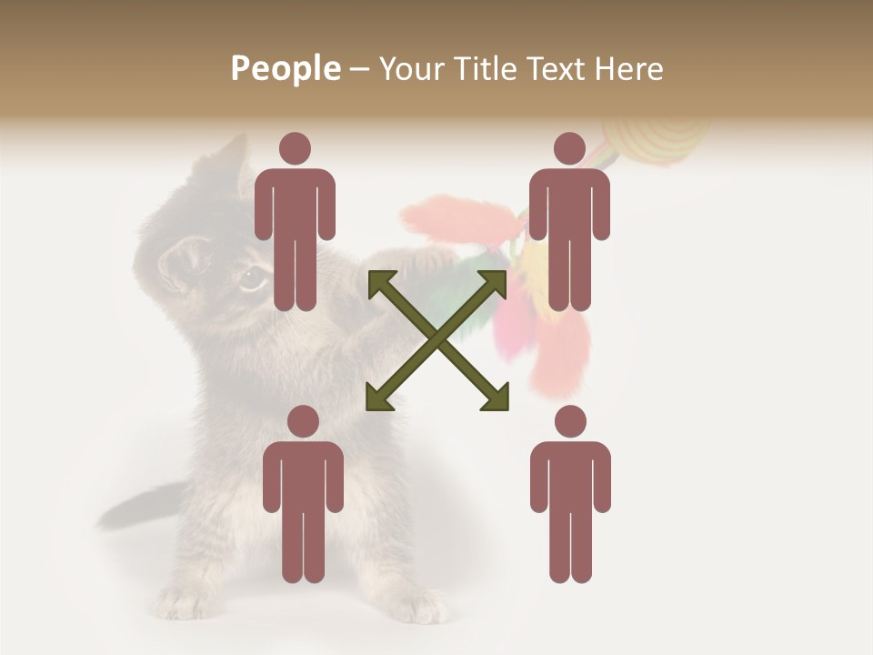 A Kitten Playing With A Toy On A White Background PowerPoint Template